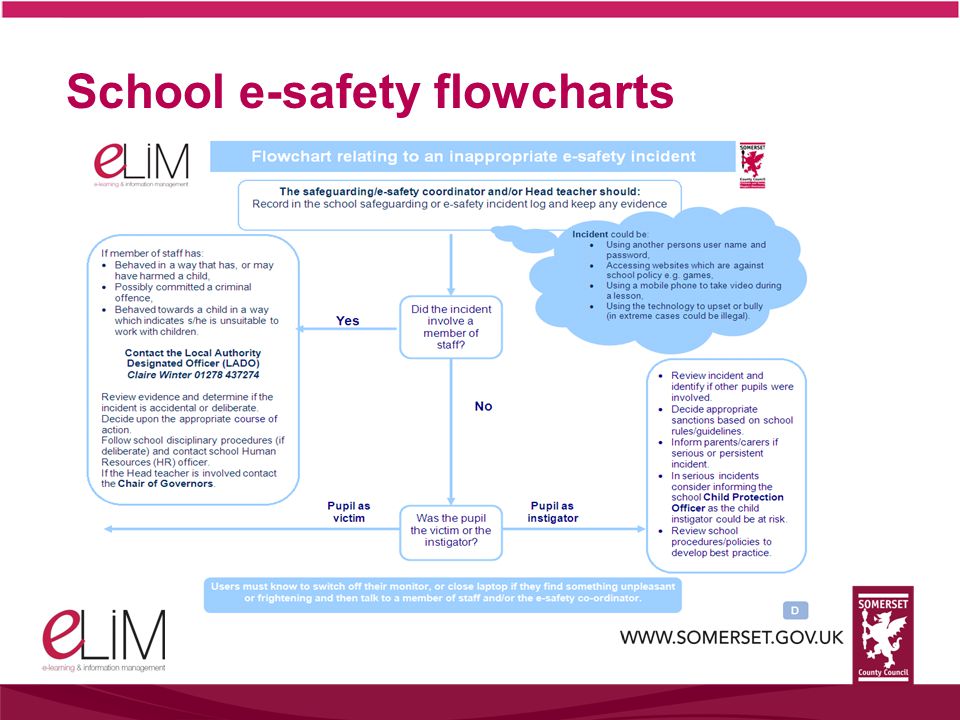 School e-safety flowcharts