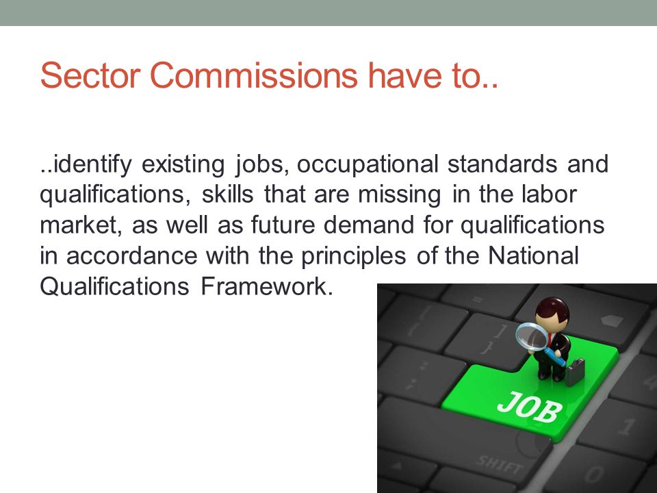Sector Commissions have to....identify existing jobs, occupational standards and qualifications, skills that are missing in the labor market, as well as future demand for qualifications in accordance with the principles of the National Qualifications Framework.