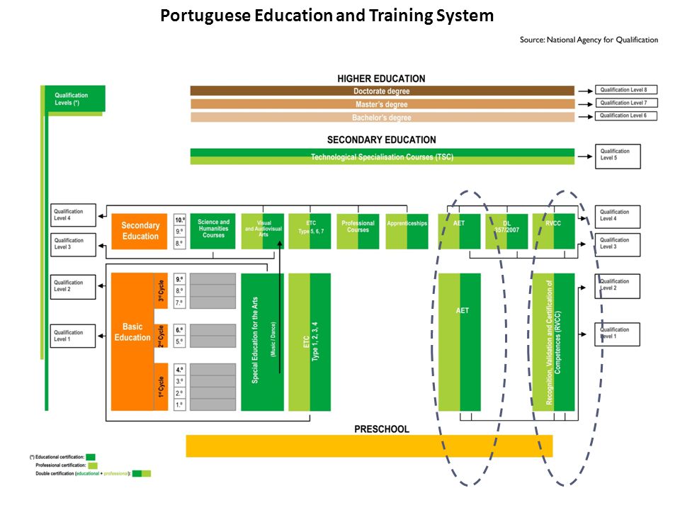 Portuguese Education and Training System