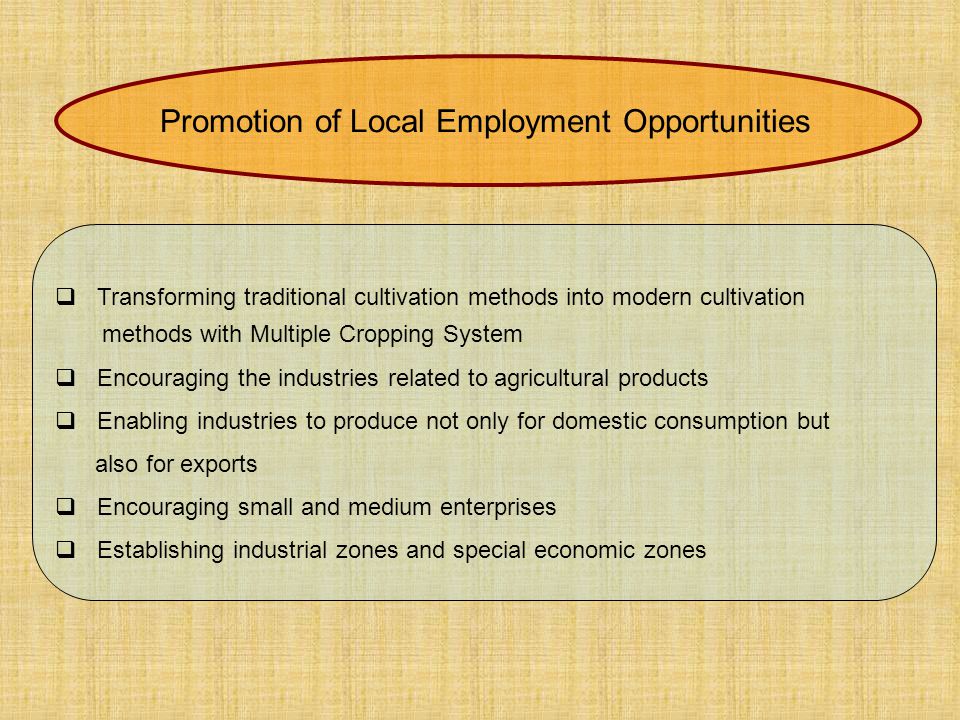  Transforming traditional cultivation methods into modern cultivation methods with Multiple Cropping System  Encouraging the industries related to agricultural products  Enabling industries to produce not only for domestic consumption but also for exports  Encouraging small and medium enterprises  Establishing industrial zones and special economic zones Promotion of Local Employment Opportunities