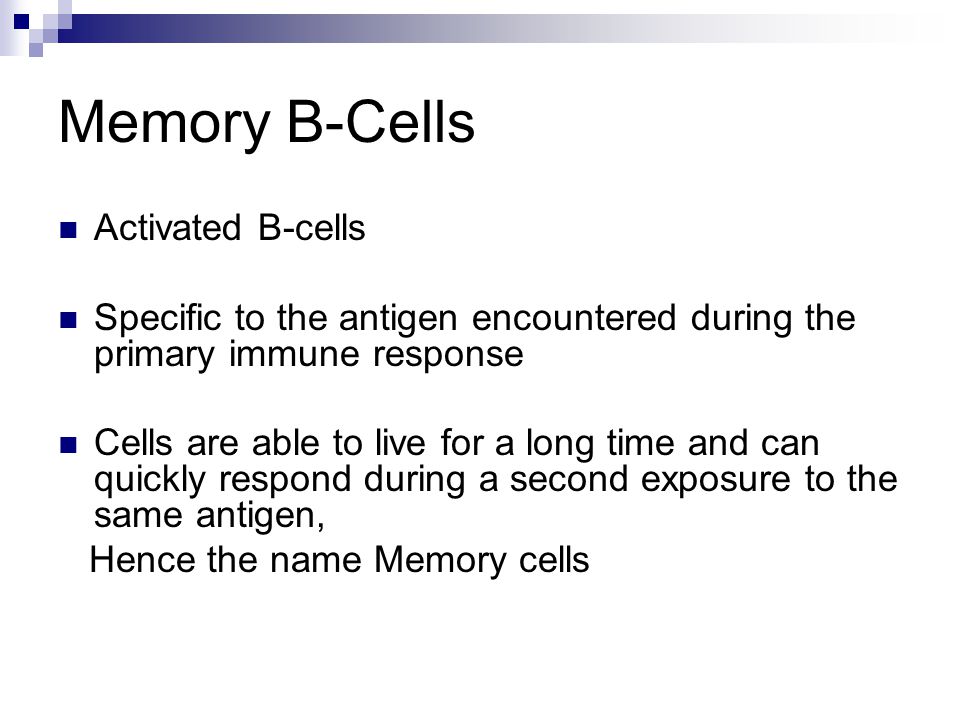 Memory B-Cells Activated B-cells Specific to the antigen encountered during the primary immune response Cells are able to live for a long time and can quickly respond during a second exposure to the same antigen, Hence the name Memory cells