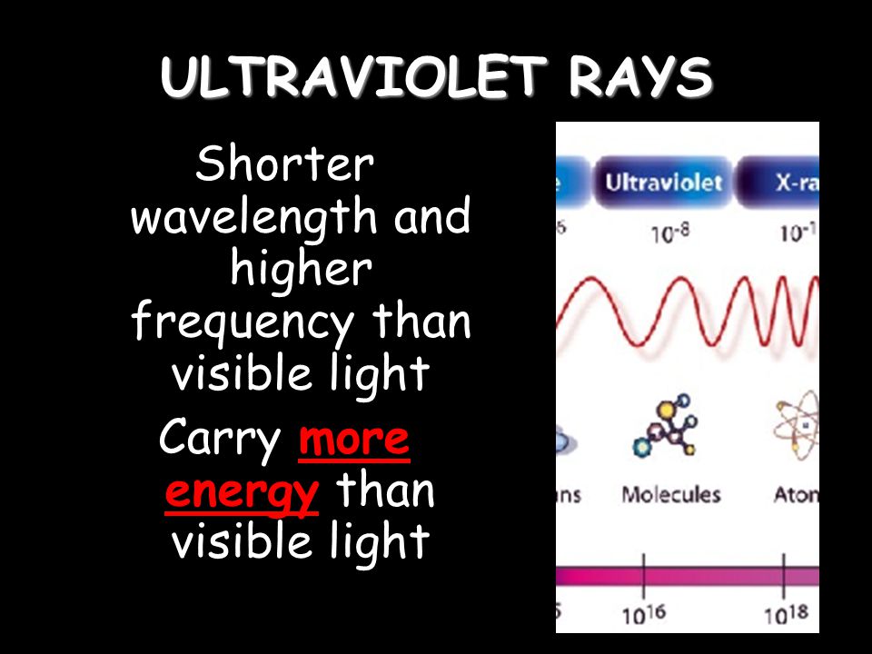 ULTRAVIOLET RAYS Shorter wavelength and higher frequency than visible light Carry more energy than visible light