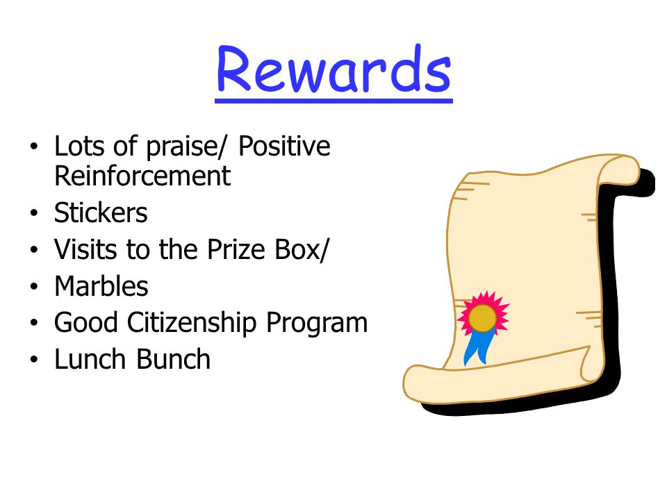 Rewards Lots of praise/ Positive Reinforcement Stickers Visits to the Prize Box/ Marbles Good Citizenship Program Lunch Bunch
