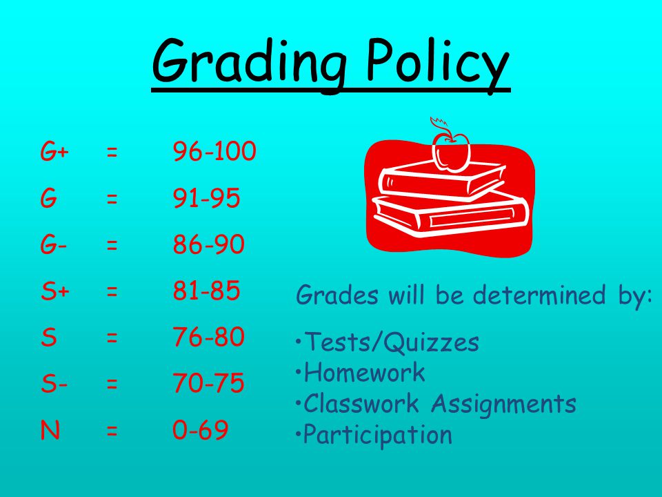Grading Policy Grades will be determined by: Tests/Quizzes Homework Classwork Assignments Participation G+= G=91-95 G-=86-90 S+=81-85 S=76-80 S-=70-75 N=0-69