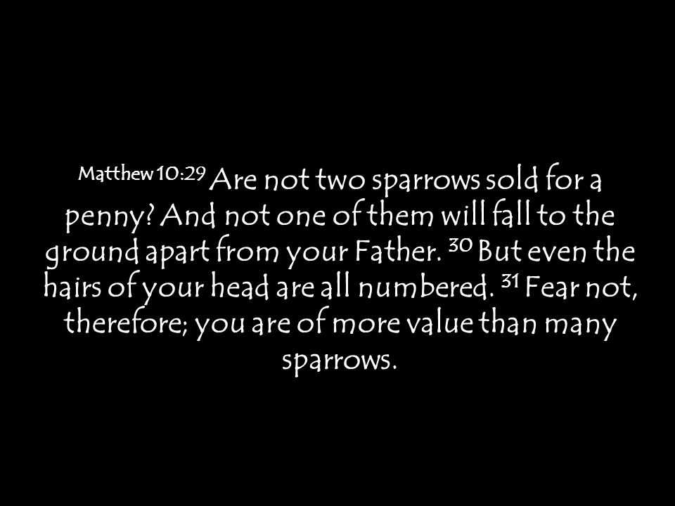 Matthew 10:29 Are not two sparrows sold for a penny.