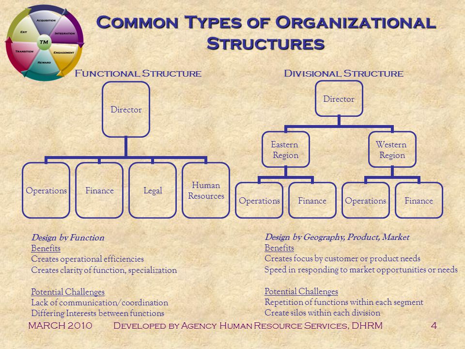 MARCH 2010Developed by Agency Human Resource Services, DHRM4 Common Types of Organizational Structures Director OperationsFinanceLegal Human Resources Director Eastern Region OperationsFinance Western Region OperationsFinance Functional StructureDivisional Structure Design by Function Benefits Creates operational efficiencies Creates clarity of function, specialization Potential Challenges Lack of communication/coordination Differing Interests between functions Design by Geography, Product, Market Benefits Creates focus by customer or product needs Speed in responding to market opportunities or needs Potential Challenges Repetition of functions within each segment Create silos within each division