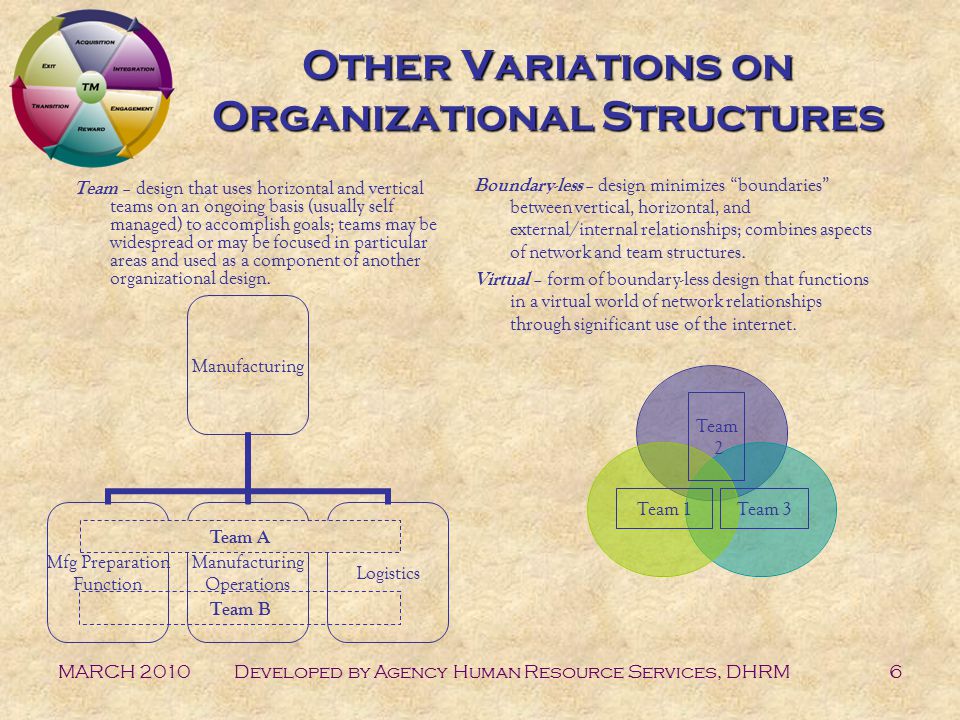 MARCH 2010Developed by Agency Human Resource Services, DHRM6 Other Variations on Organizational Structures Team – design that uses horizontal and vertical teams on an ongoing basis (usually self managed) to accomplish goals; teams may be widespread or may be focused in particular areas and used as a component of another organizational design.