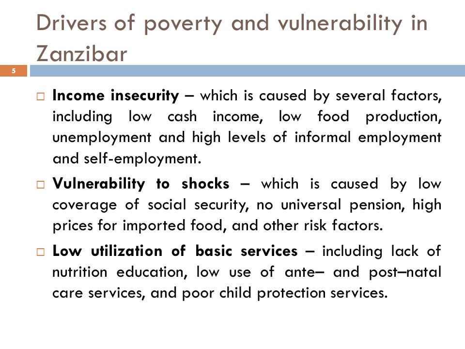 Drivers of poverty and vulnerability in Zanzibar 5  Income insecurity – which is caused by several factors, including low cash income, low food production, unemployment and high levels of informal employment and self-employment.