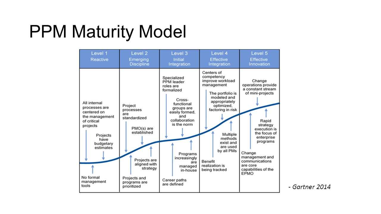 Ms Maturity