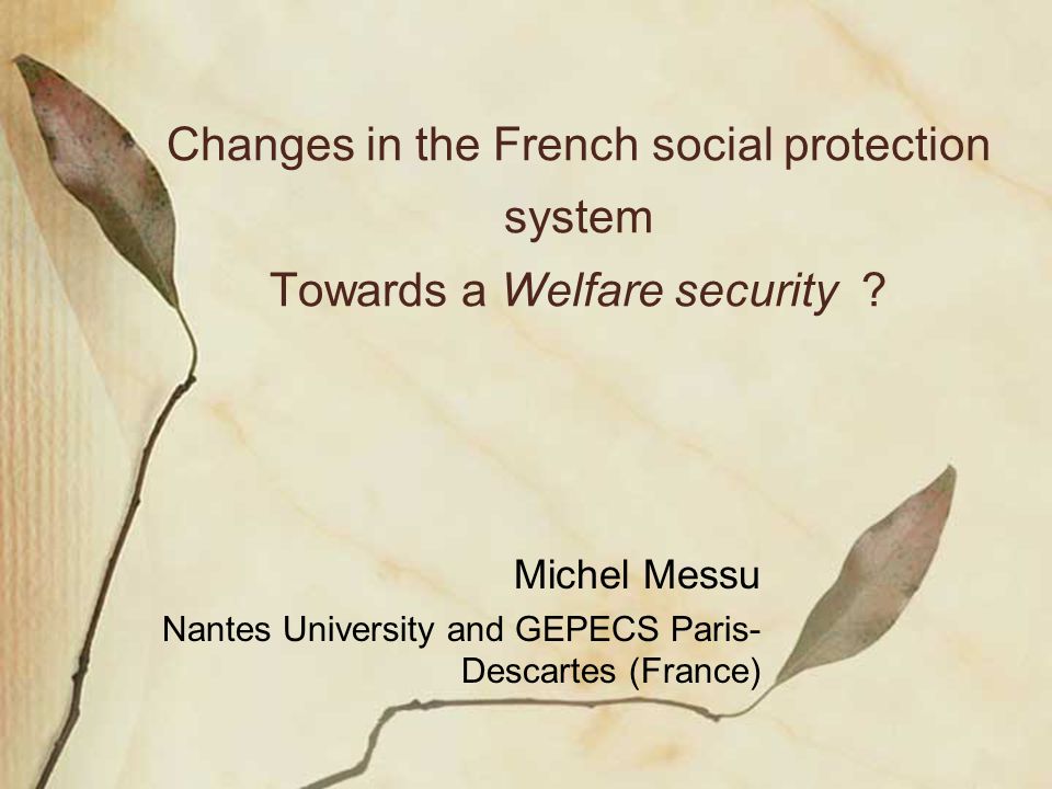 Changes in the French social protection system Towards a Welfare security .