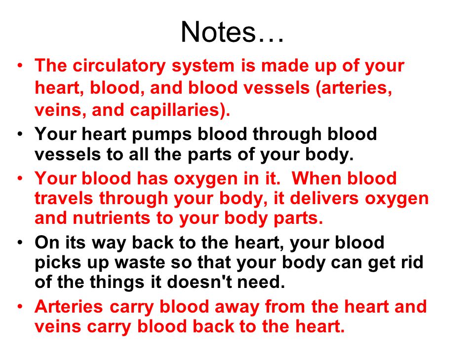 Notes… The circulatory system is made up of your heart, blood, and blood vessels (arteries, veins, and capillaries).