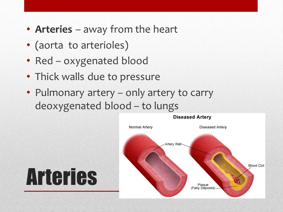 Arteries Arteries – away from the heart (aorta to arterioles) Red – oxygenated blood Thick walls due to pressure Pulmonary artery – only artery to carry deoxygenated blood – to lungs