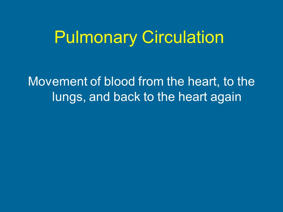 Pulmonary Circulation Movement of blood from the heart, to the lungs, and back to the heart again