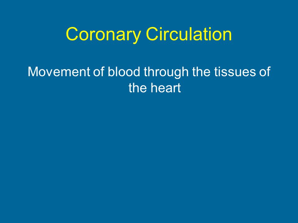 Coronary Circulation Movement of blood through the tissues of the heart