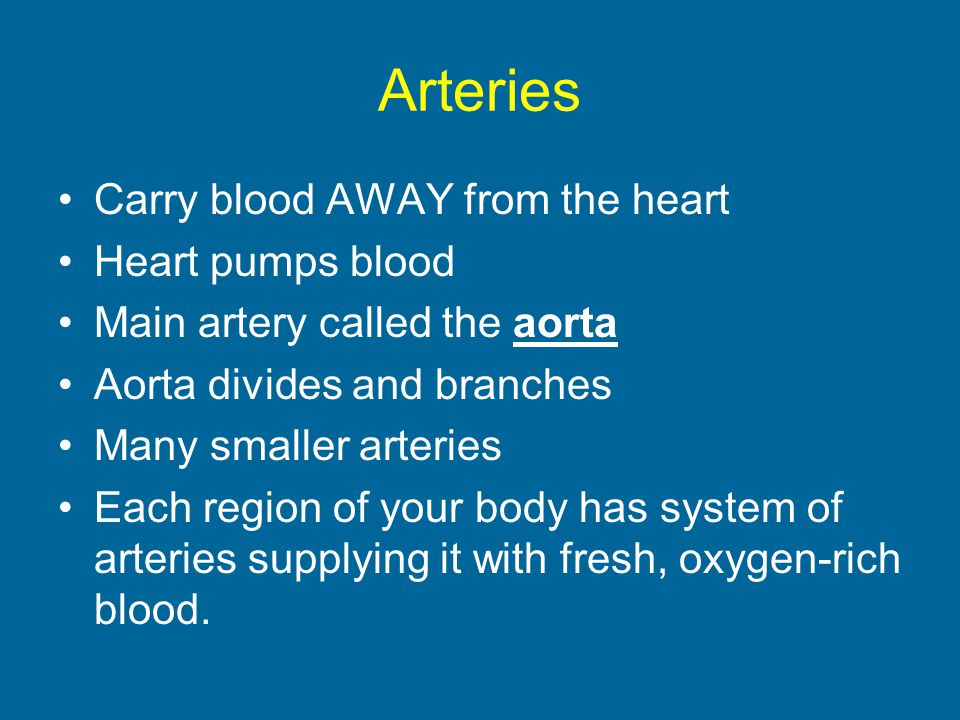 Arteries Carry blood AWAY from the heart Heart pumps blood Main artery called the aorta Aorta divides and branches Many smaller arteries Each region of your body has system of arteries supplying it with fresh, oxygen-rich blood.
