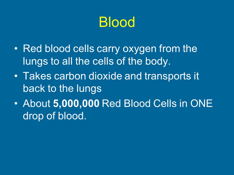 Blood Red blood cells carry oxygen from the lungs to all the cells of the body.