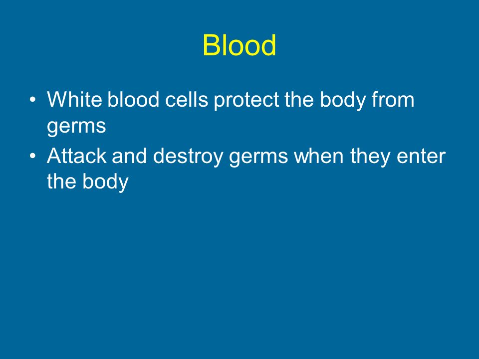 Blood White blood cells protect the body from germs Attack and destroy germs when they enter the body