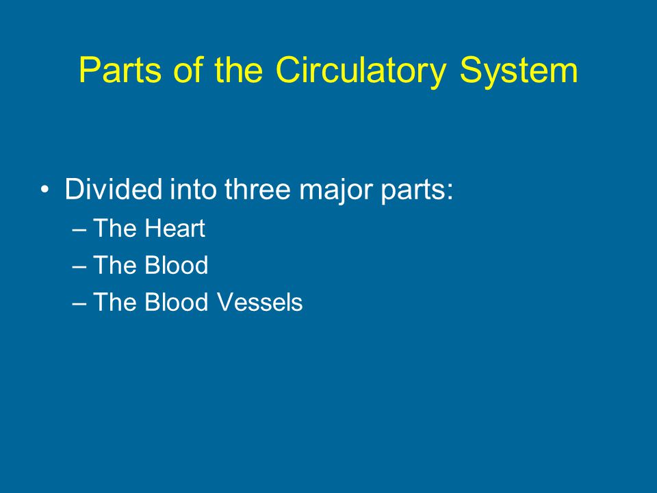 Parts of the Circulatory System Divided into three major parts: –The Heart –The Blood –The Blood Vessels