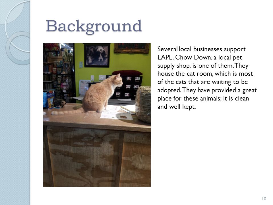 Background 10 Several local businesses support EAPL, Chow Down, a local pet supply shop, is one of them.