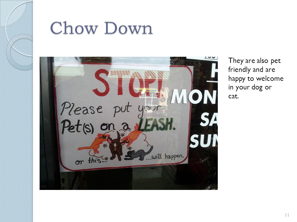 Chow Down 11 They are also pet friendly and are happy to welcome in your dog or cat.