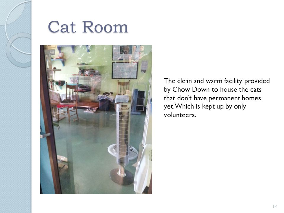 Cat Room 13 The clean and warm facility provided by Chow Down to house the cats that don’t have permanent homes yet.