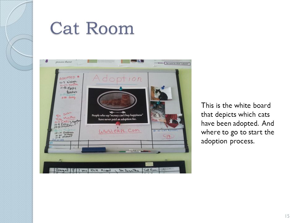 Cat Room 15 This is the white board that depicts which cats have been adopted.
