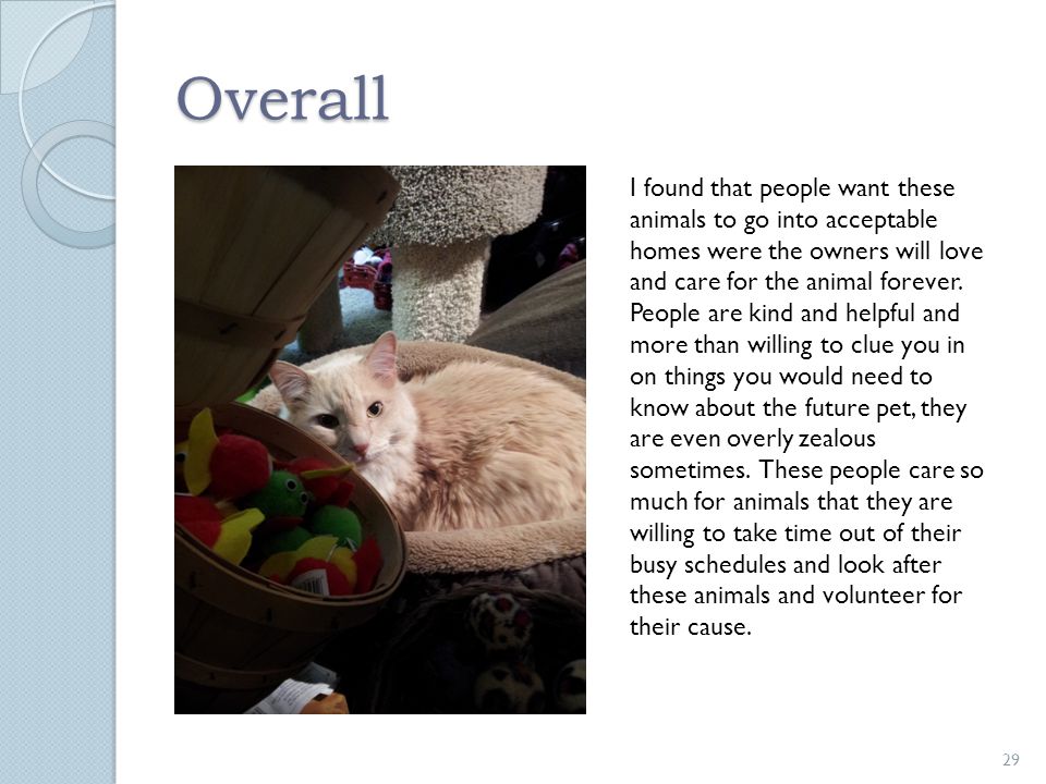 Overall 29 I found that people want these animals to go into acceptable homes were the owners will love and care for the animal forever.