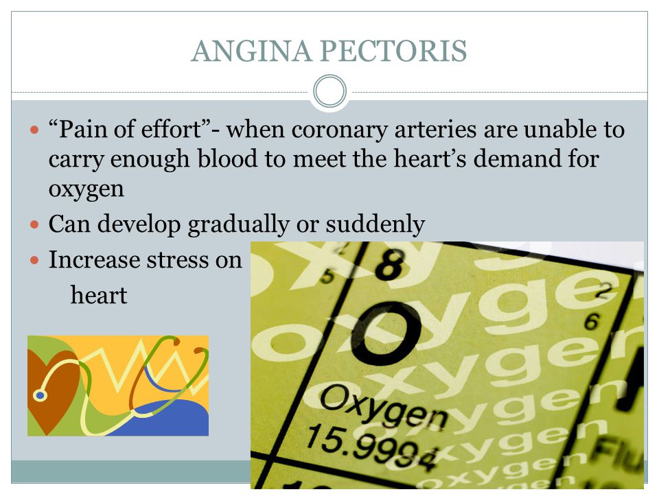 ANGINA PECTORIS Pain of effort - when coronary arteries are unable to carry enough blood to meet the heart’s demand for oxygen Can develop gradually or suddenly Increase stress on heart