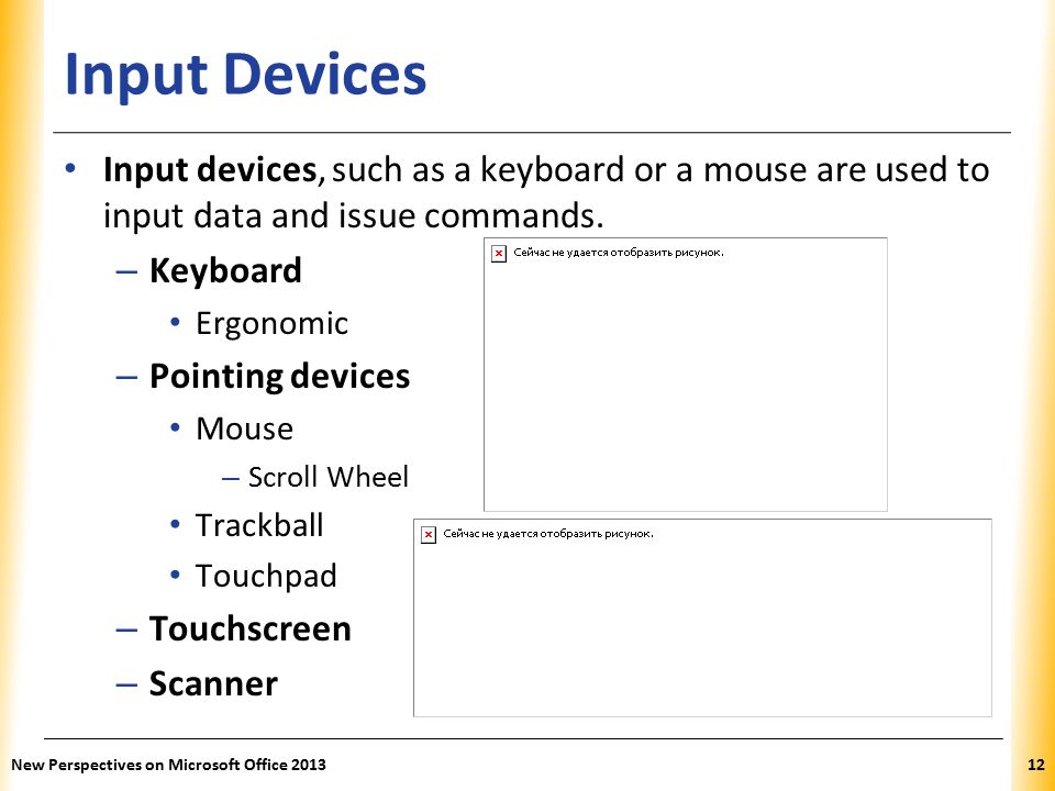 XP Input Devices Input devices, such as a keyboard or a mouse are used to input data and issue commands.