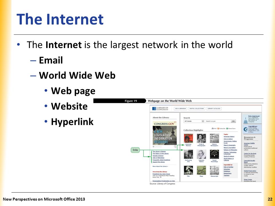 XP The Internet The Internet is the largest network in the world –  – World Wide Web Web page Website Hyperlink New Perspectives on Microsoft Office