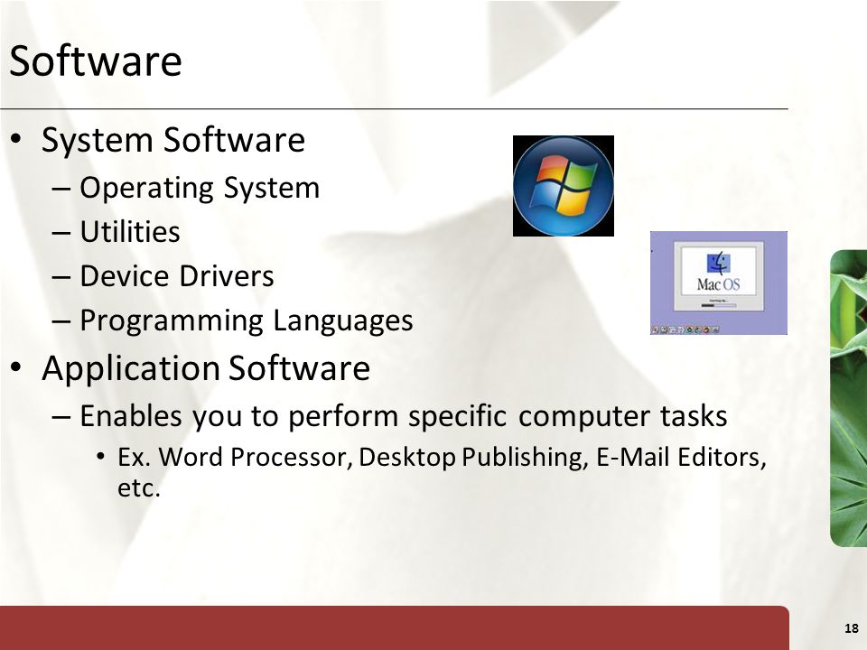 XP 18 Software System Software – Operating System – Utilities – Device Drivers – Programming Languages Application Software – Enables you to perform specific computer tasks Ex.