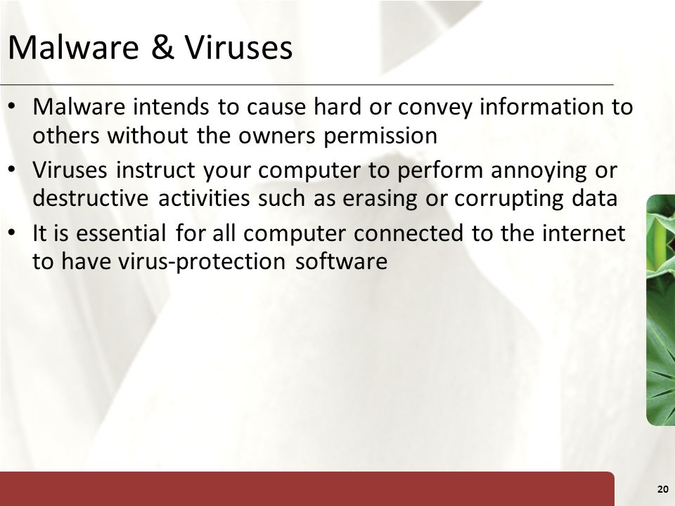 XP 20 Malware & Viruses Malware intends to cause hard or convey information to others without the owners permission Viruses instruct your computer to perform annoying or destructive activities such as erasing or corrupting data It is essential for all computer connected to the internet to have virus-protection software