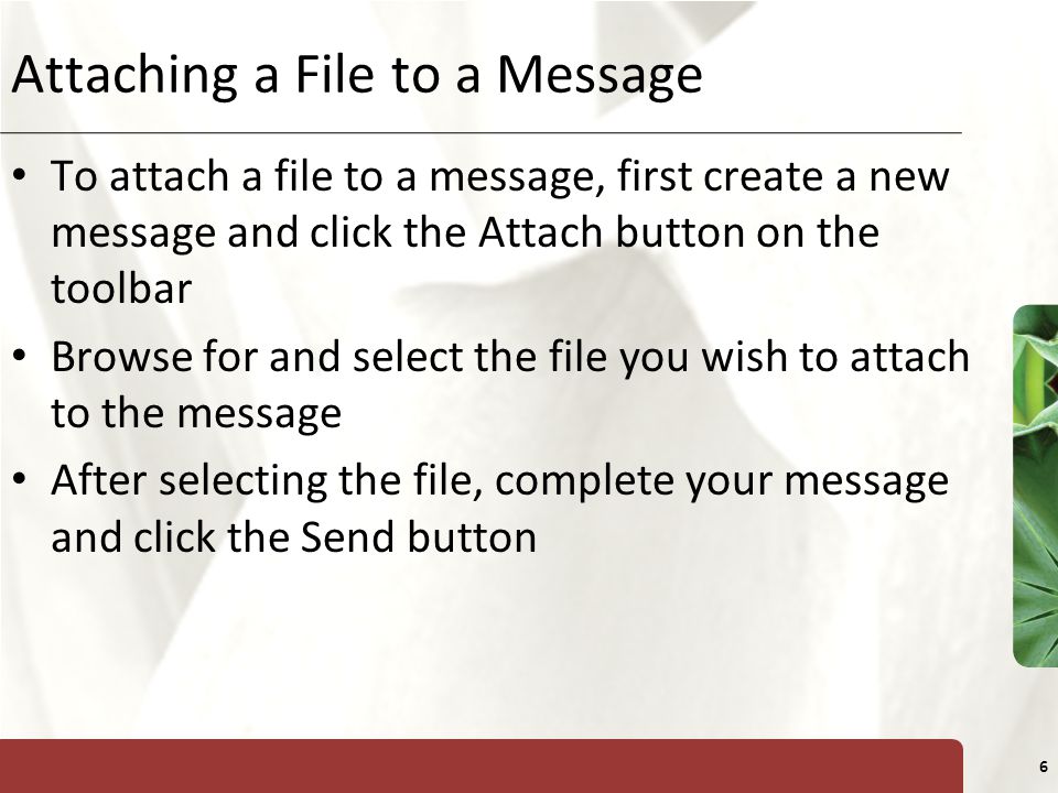 XP 6 Attaching a File to a Message To attach a file to a message, first create a new message and click the Attach button on the toolbar Browse for and select the file you wish to attach to the message After selecting the file, complete your message and click the Send button