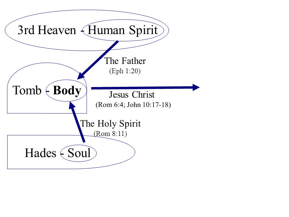 Tomb - Body 3rd Heaven - Human Spirit The Father (Eph 1:20) Hades - Soul The Holy Spirit (Rom 8:11)