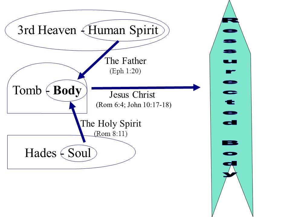Tomb - Body Hades - Soul 3rd Heaven - Human Spirit The Father (Eph 1:20) The Holy Spirit (Rom 8:11) Jesus Christ (Rom 6:4; John 10:17-18)