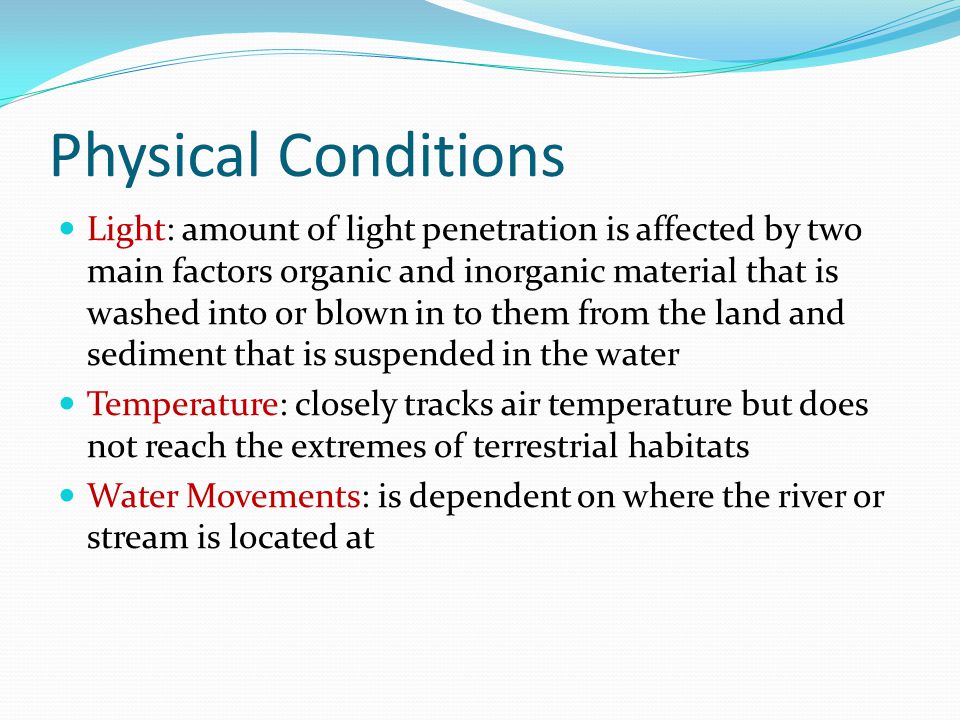 Light penetration in river think, that Above told light penetration in river