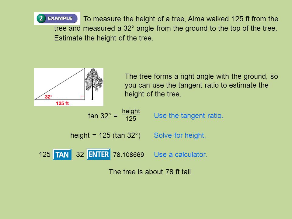 To measure the height of a tree, Alma walked 125 ft from the tree and measured a 32° angle from the ground to the top of the tree.