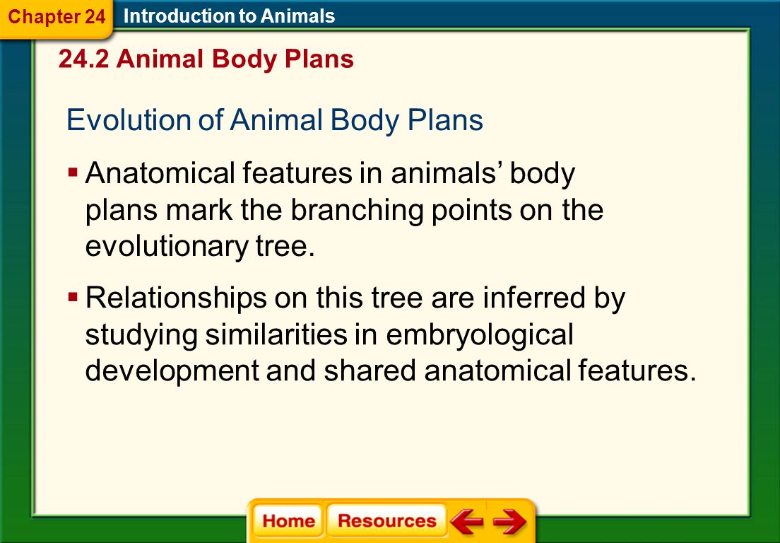Introduction to Animals 24.1 Animal Characteristics Chapter 24