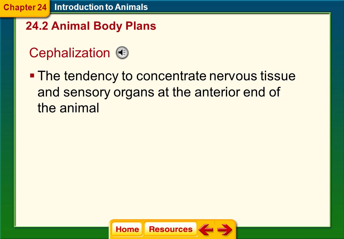 Introduction to Animals Symmetry  Similarity or balance among body structures of organisms  Asymmetry  Radial symmetry  Bilateral symmetry 24.2 Animal Body Plans Chapter 24