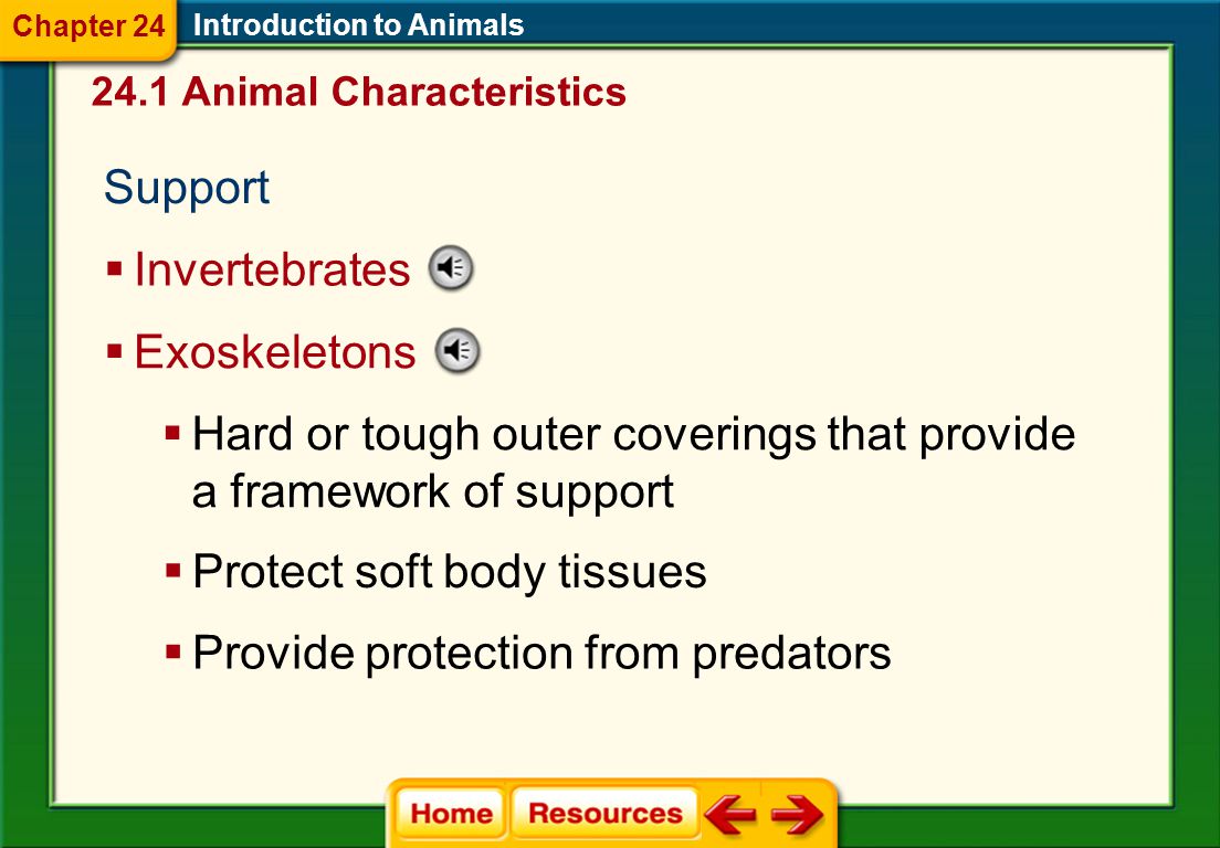 Feeding and Digestion Introduction to Animals  Animals are heterotrophic.