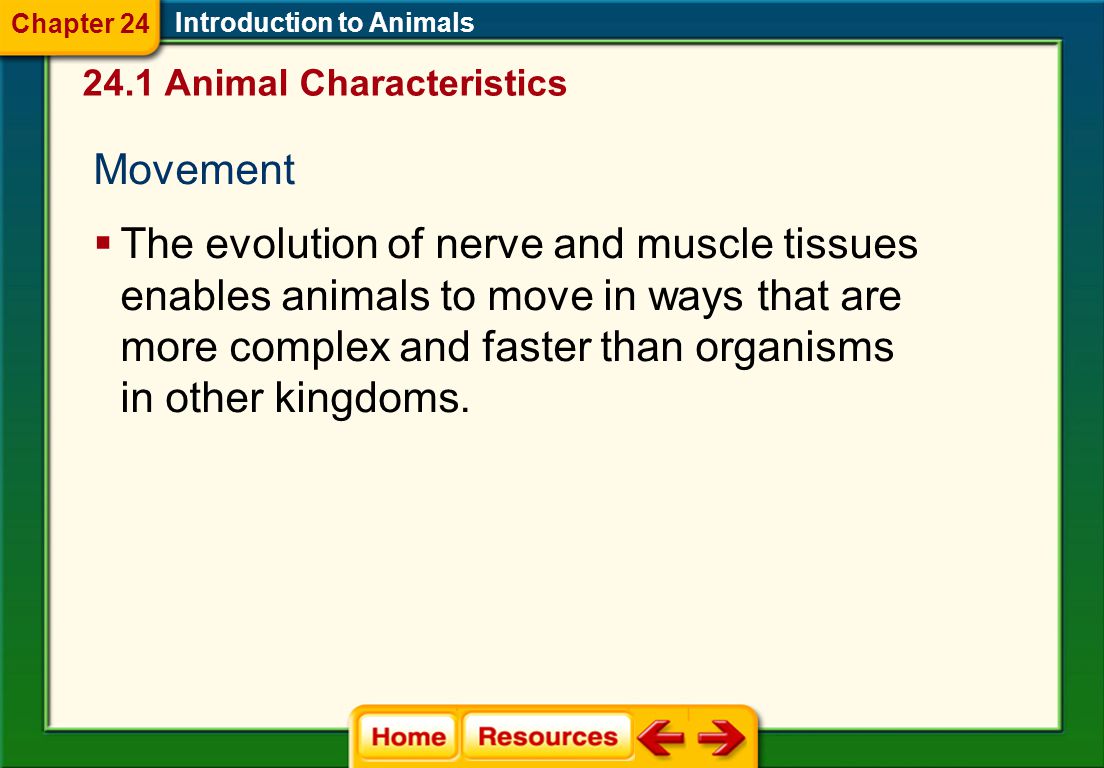 Support Introduction to Animals  Vertebrates  Endoskeletons  Protect internal organs  Provide support for the body  Provide an internal brace for muscles to pull against 24.1 Animal Characteristics Chapter 24