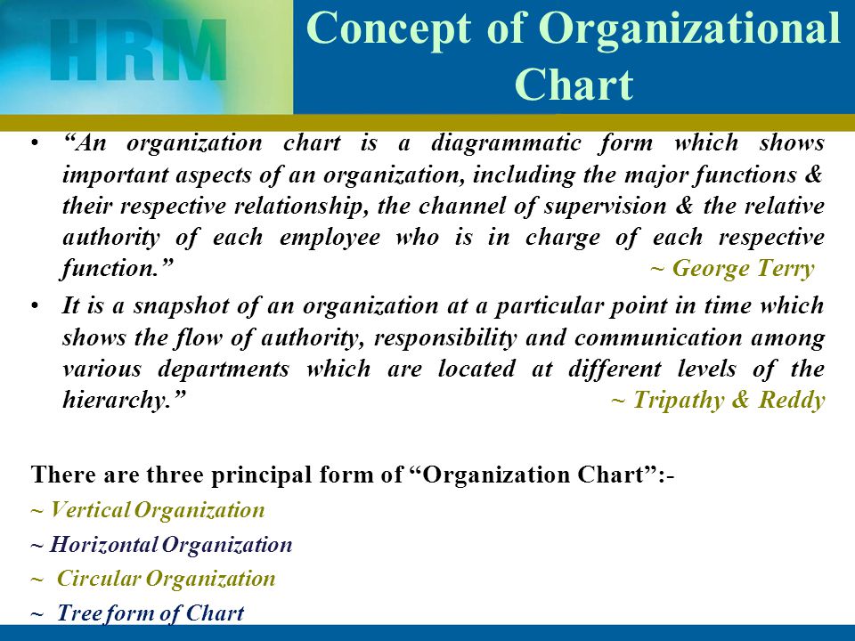 Why Are Organizational Charts Important