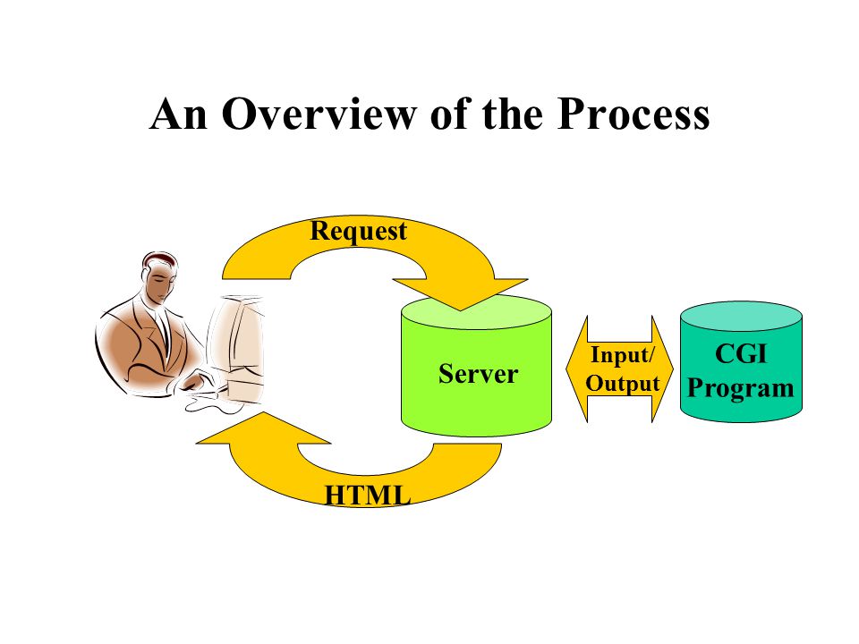 An Overview of the Process Server CGI Program Input/ Output Request HTML