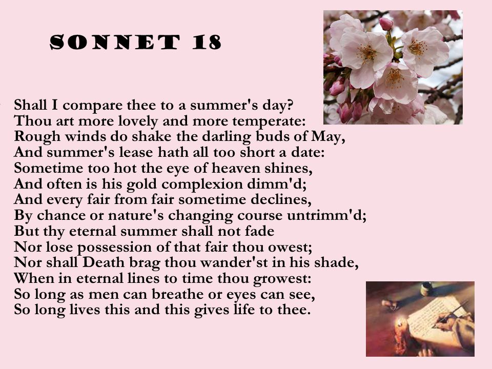 Sonnet 18 Shall I compare thee to a summer s day.