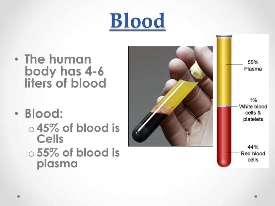 Blood The human body has 4-6 liters of blood Blood: o 45% of blood is Cells o 55% of blood is plasma