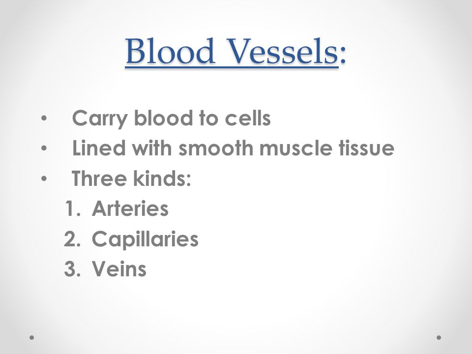 Blood Vessels: Carry blood to cells Lined with smooth muscle tissue Three kinds: 1.Arteries 2.Capillaries 3.Veins