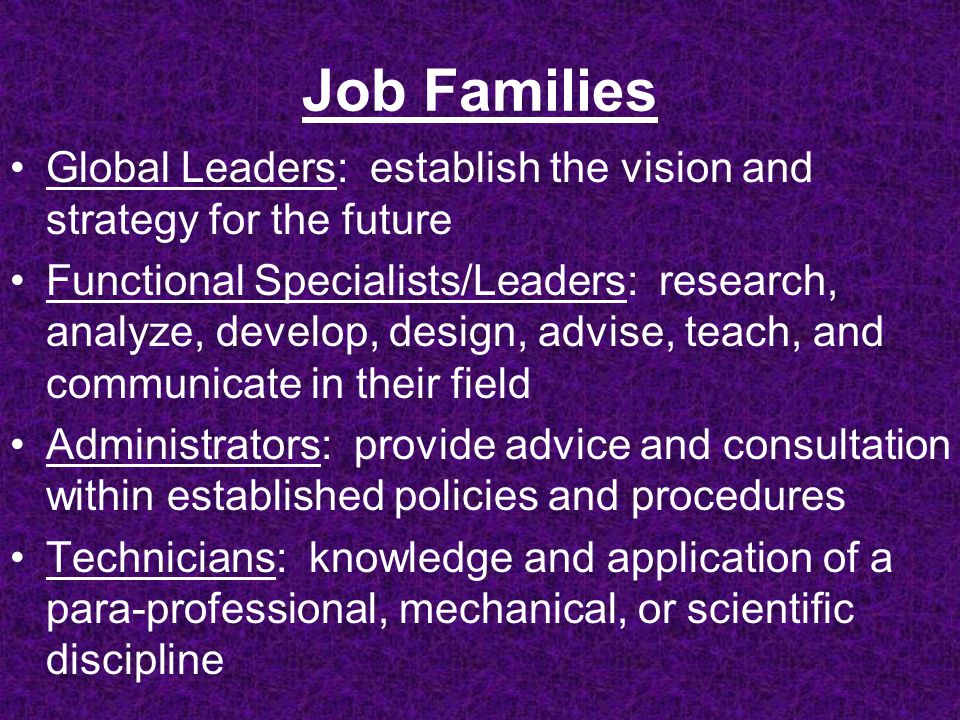 Job Families Global Leaders: establish the vision and strategy for the future Functional Specialists/Leaders: research, analyze, develop, design, advise, teach, and communicate in their field Administrators: provide advice and consultation within established policies and procedures Technicians: knowledge and application of a para-professional, mechanical, or scientific discipline