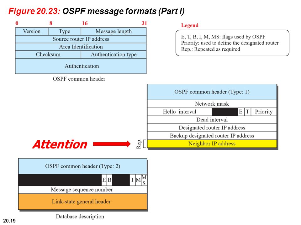 20.19 Figure 20.23: OSPF message formats (Part I) Attention
