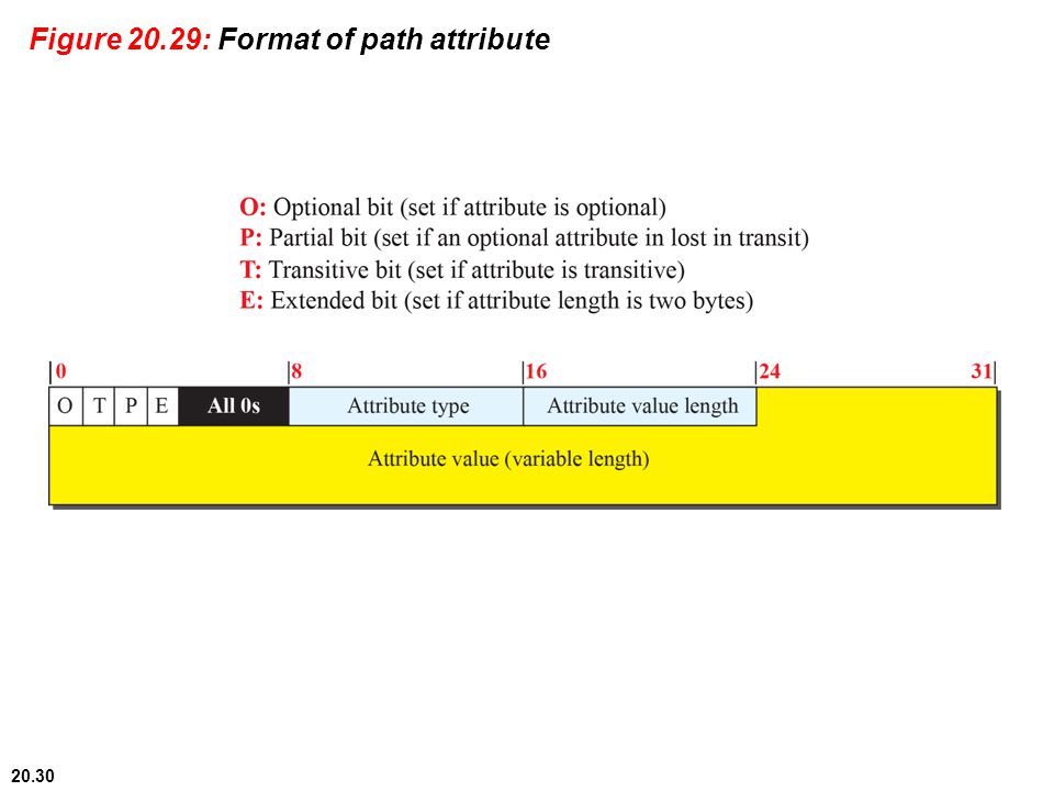 20.30 Figure 20.29: Format of path attribute