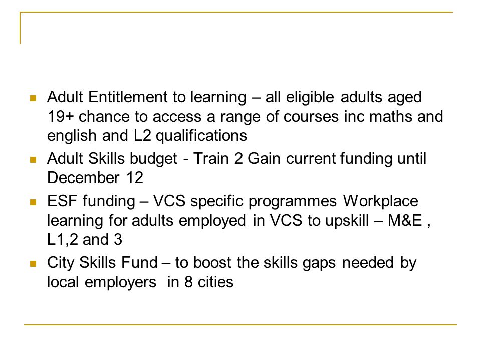 Adult Entitlement to learning – all eligible adults aged 19+ chance to access a range of courses inc maths and english and L2 qualifications Adult Skills budget - Train 2 Gain current funding until December 12 ESF funding – VCS specific programmes Workplace learning for adults employed in VCS to upskill – M&E, L1,2 and 3 City Skills Fund – to boost the skills gaps needed by local employers in 8 cities